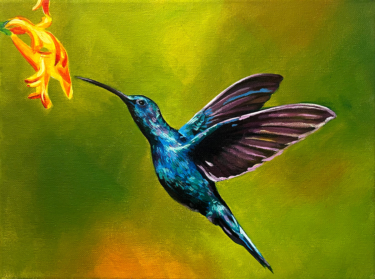 Hummingbird | studies & demos