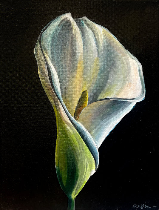 Calla in Contrast | studies & demos
