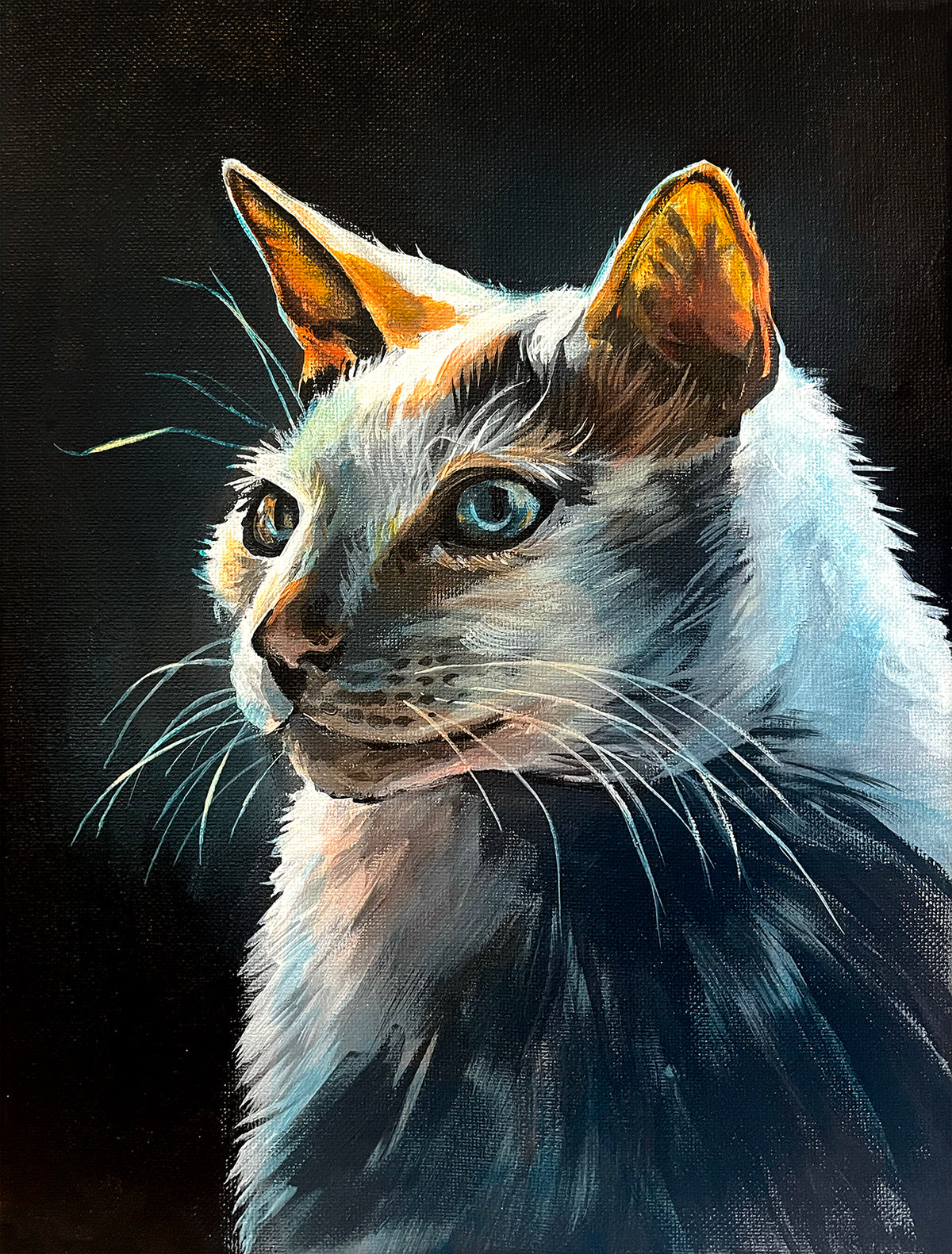 Watchful | studies & demos