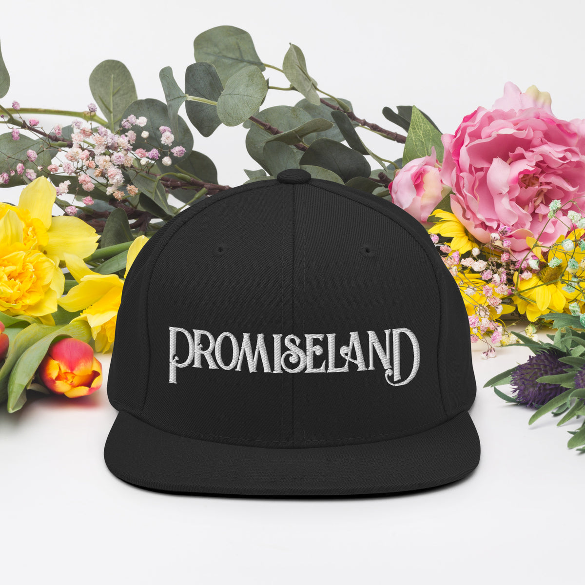Promiseland Snapback Hat